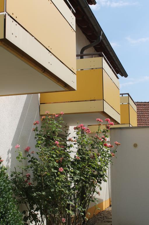 Hotel Hirschengarten Freiburg im Breisgau Exteriér fotografie